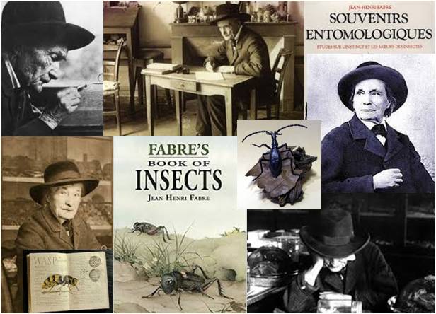 Image of Jean Heri Fabre