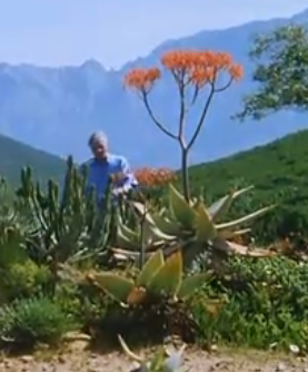 Image of the Private Life of Plants
