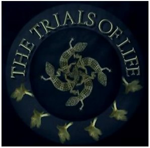 Image of The Trials of Life