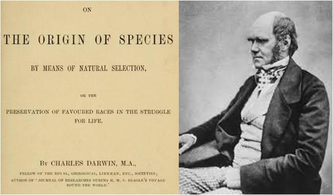 Image: On the Origin of Species by Charles Darwin