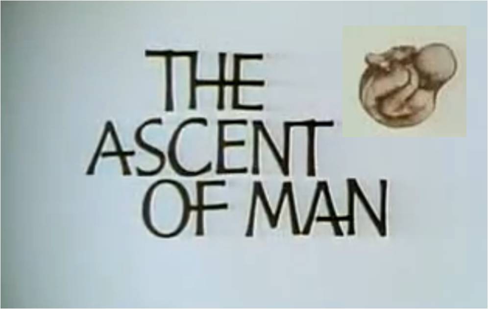 The_Ascent_of_Man