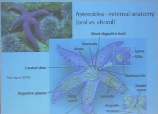 Image: Biology 1AL: General Biology Laboratory