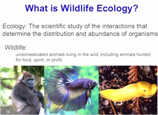 Image: ESPM 114: Wildlife Ecology