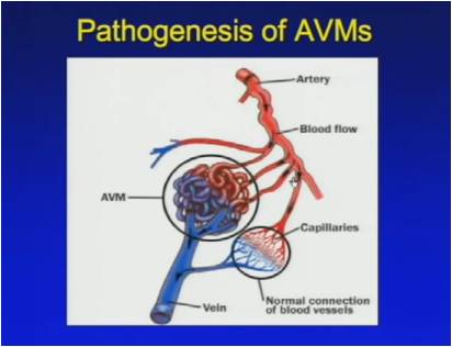 Image of Mini Med School