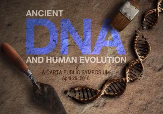 Image: Ancient DNA and Human Evolution