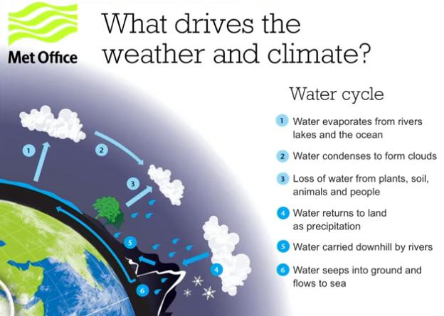 Image: Sustainable Planet