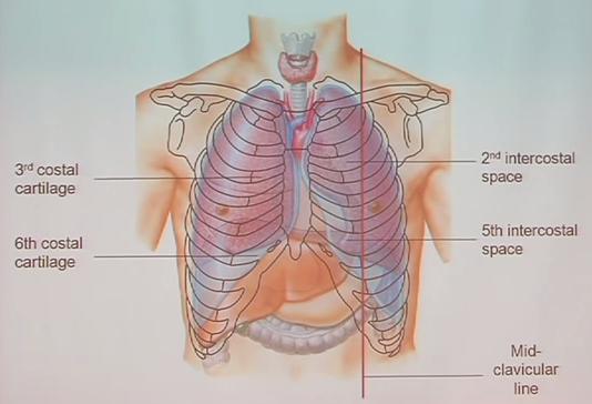 Image: Foundations for Future Health Care Providers